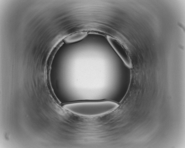 X0000099441076200805091307