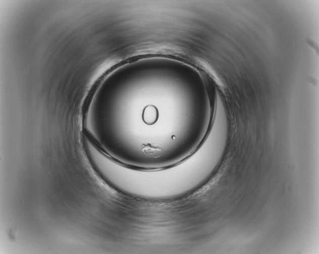 X0000099441079200805091307