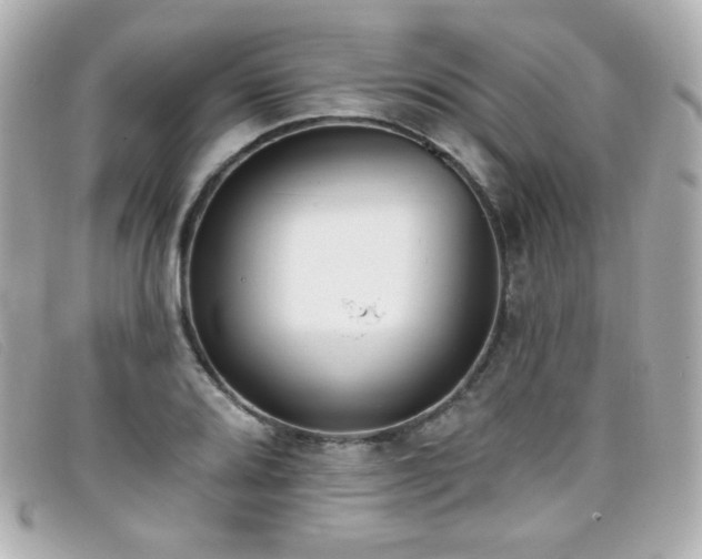 X0000099441080200805091307