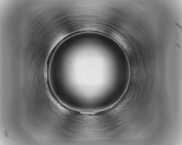 X0000099441084200805091307
