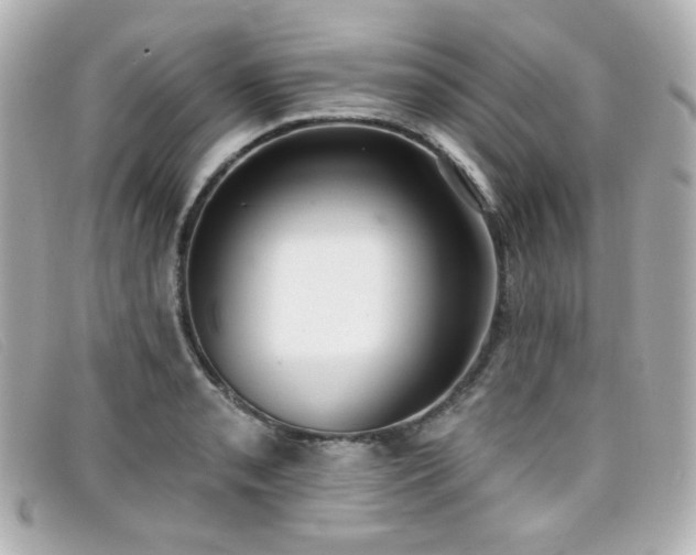 X0000099441085200805091307