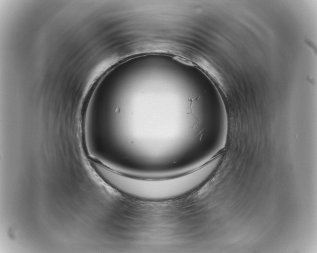X0000099441088200805091307
