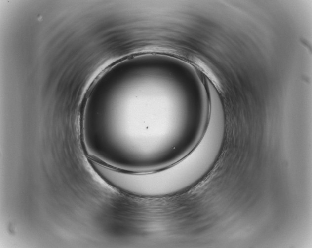 X0000099441092200805091307