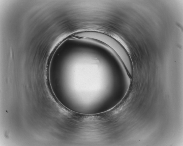 X0000099441093200805091307