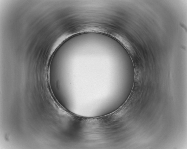 X0000099441094200805091307