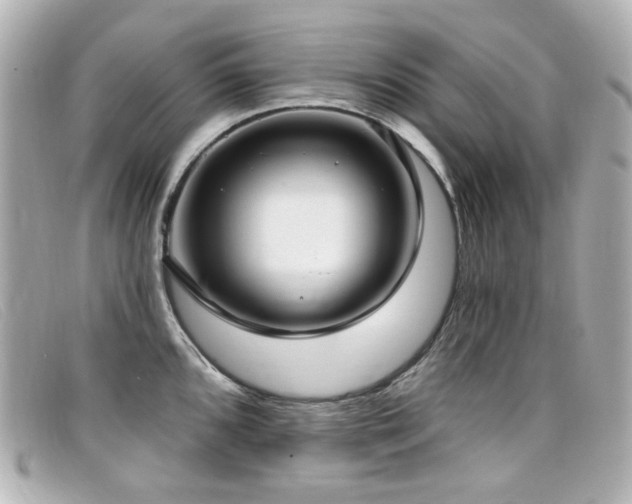 X0000099441096200805091307