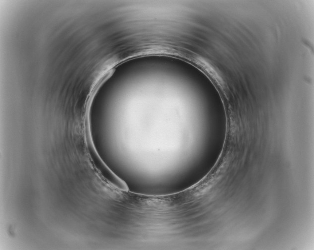 X0000099441097200805091307