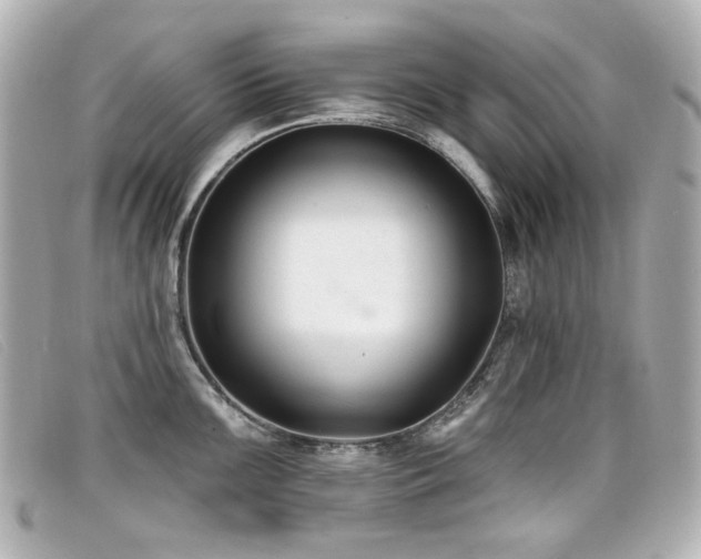 X0000099441099200805091307