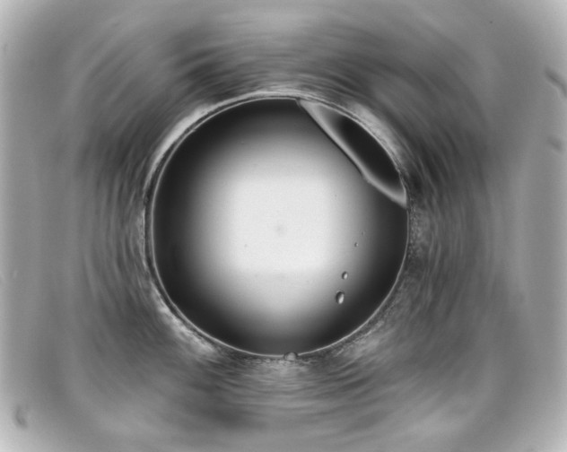 X0000099441100200805091307