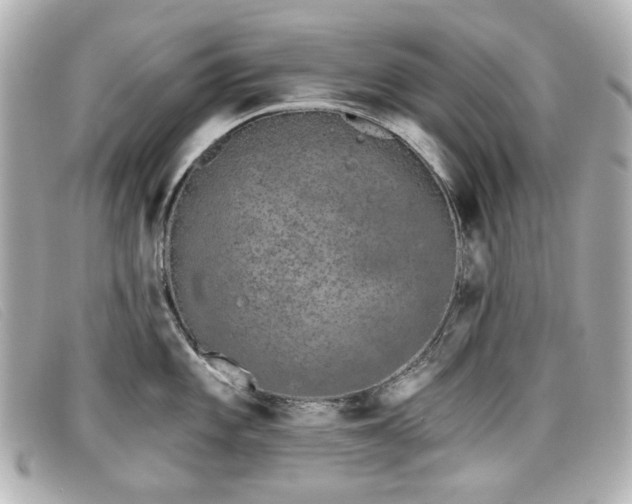 X0000099441101200805091307