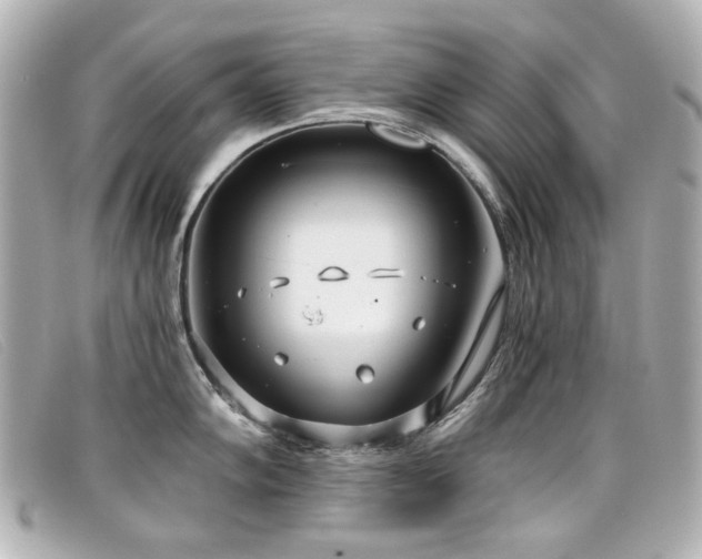 X0000099441102200805091307