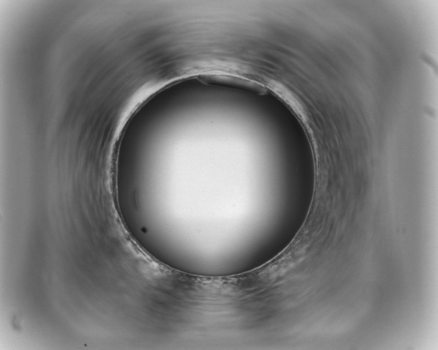X0000099441104200805091307