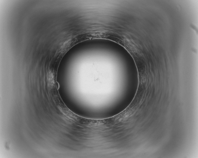 X0000099441106200805091306