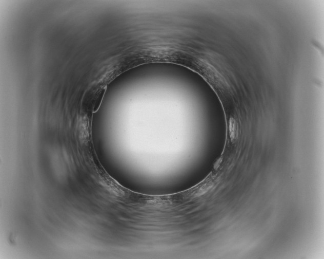 X0000099441107200805091306