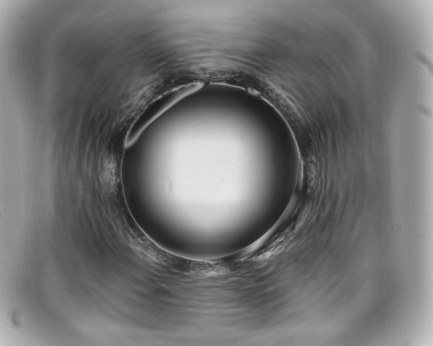 X0000099441108200805091306