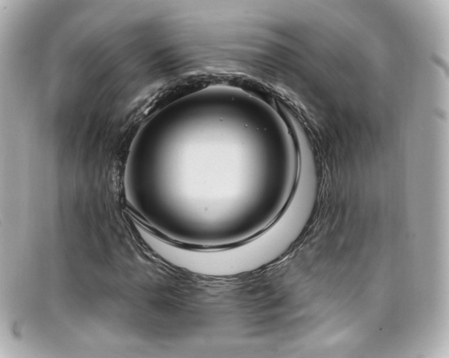 X0000099441110200805091306