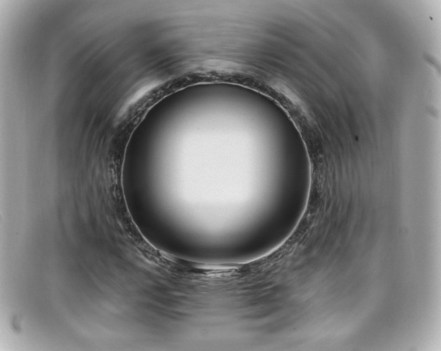 X0000099441112200805091306