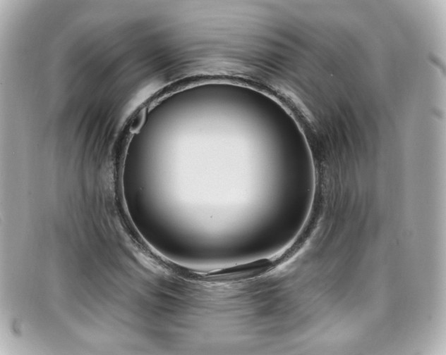 X0000099441114200805091306