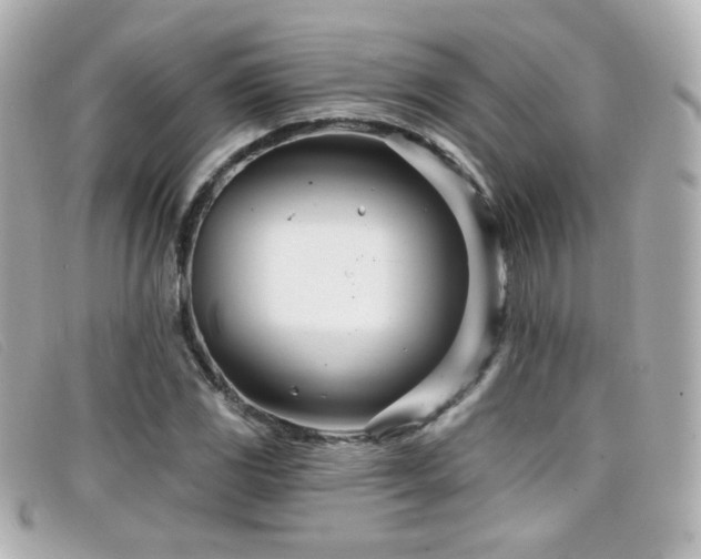 X0000099441117200805091306