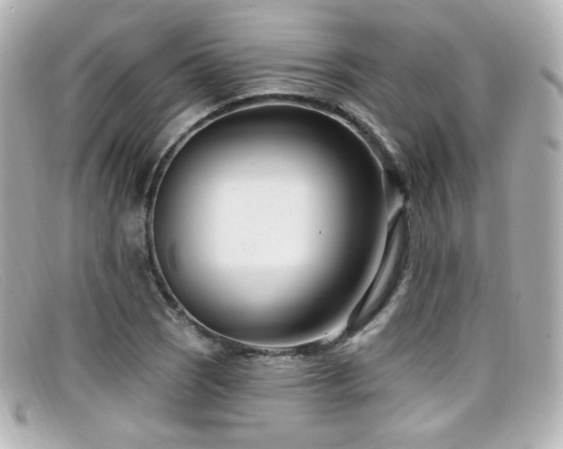 X0000099441121200805091306
