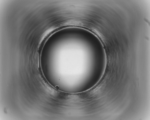 X0000099441123200805091306
