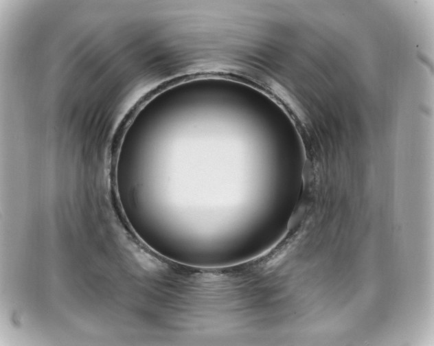 X0000099441124200805091306