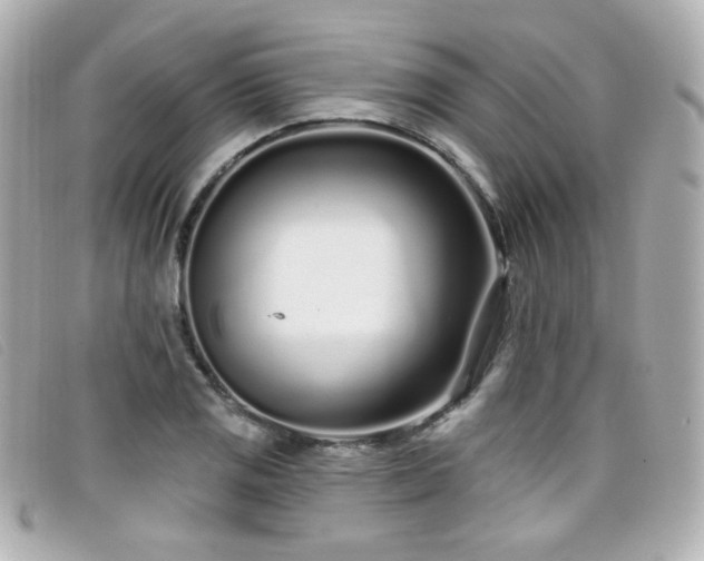 X0000099441125200805091306