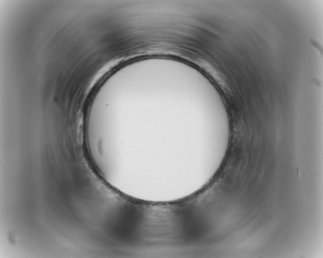X0000099441126200805091306