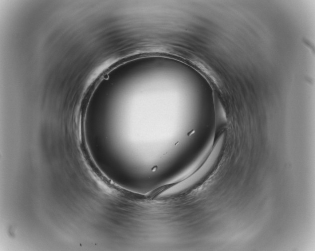 X0000099441127200805091306