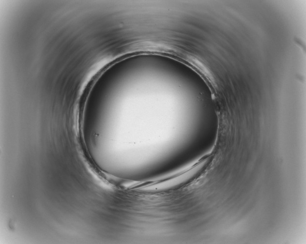 X0000099441128200805091306