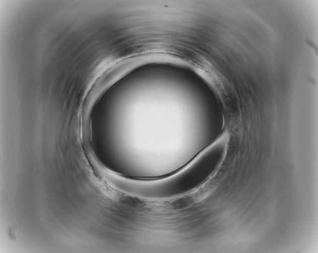 X0000099441132200805091306