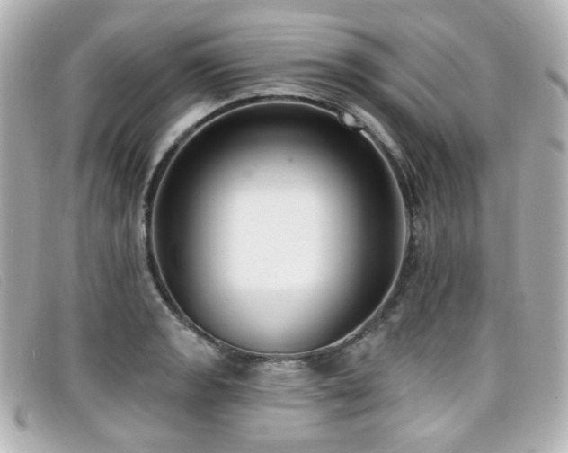 X0000099441133200805091306