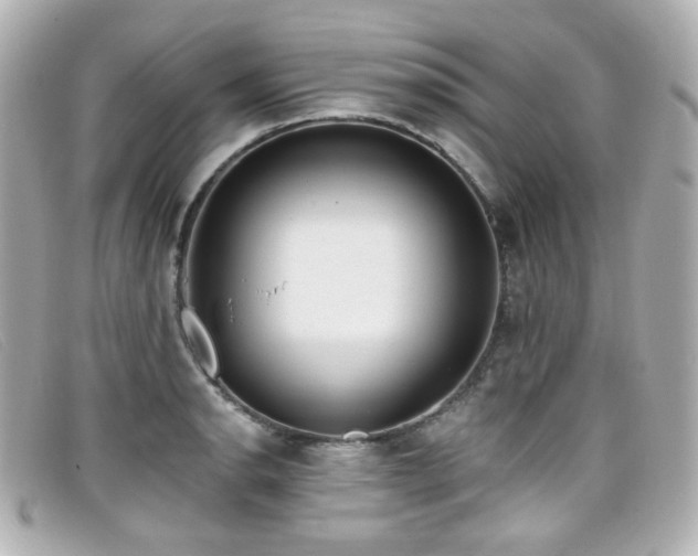 X0000099441134200805091306