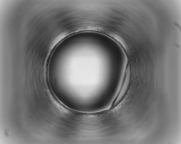 X0000099441135200805091306