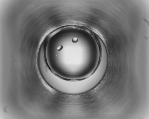 X0000099441136200805091306