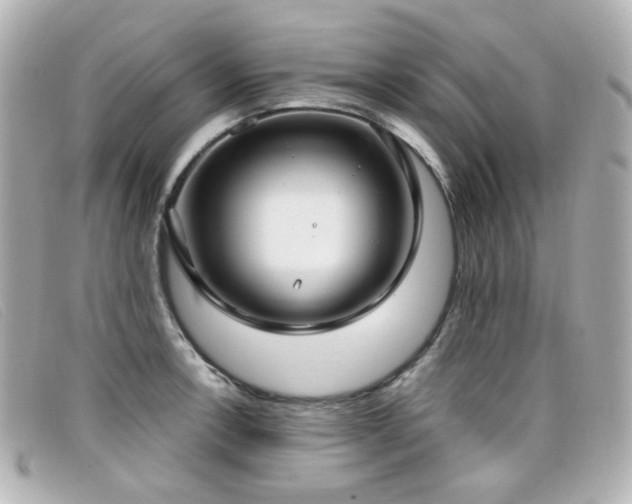 X0000099441138200805091306