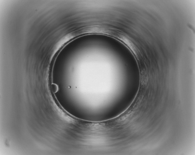 X0000099441139200805091306