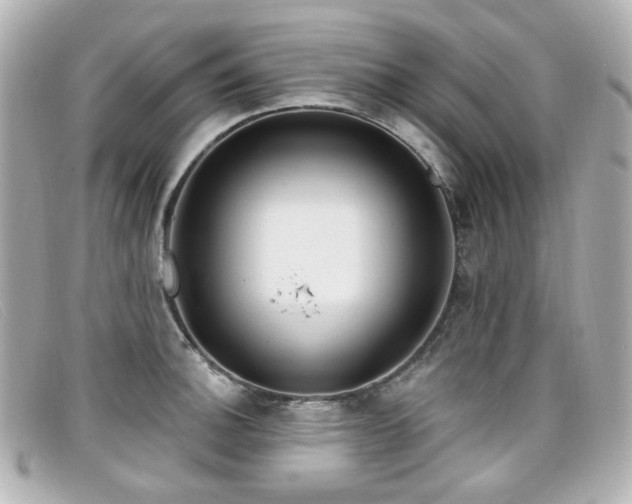 X0000099441140200805091306