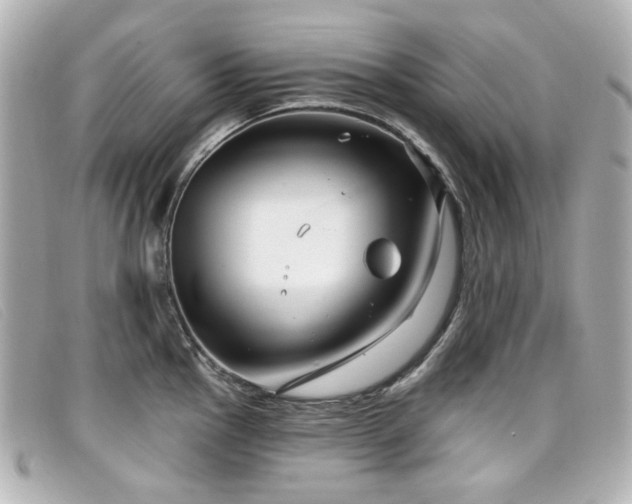X0000099441145200805091306