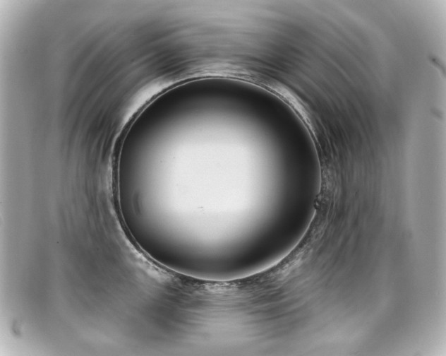 X0000099441147200805091307