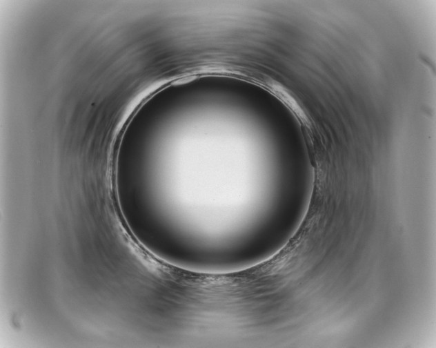 X0000099441148200805091307