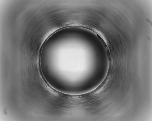 X0000099441149200805091307