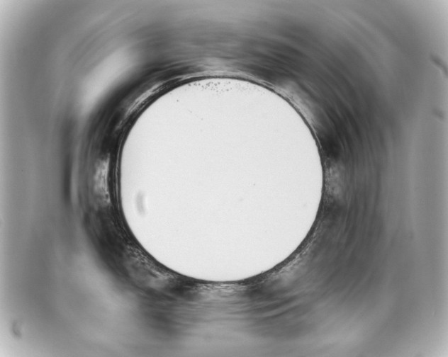 X0000099441150200805091307