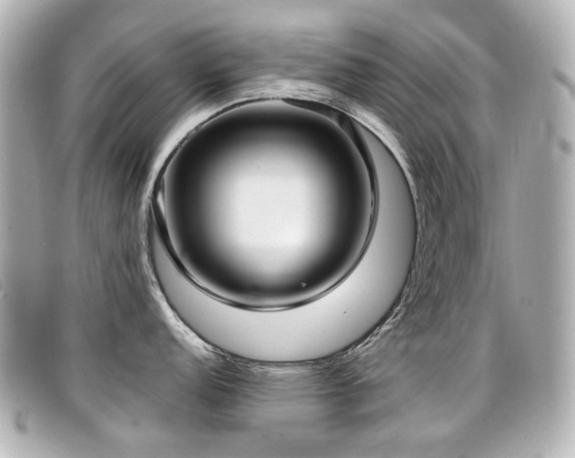 X0000099441152200805091307