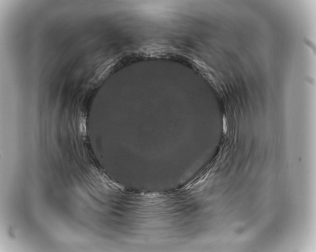 X0000099441155200805091306