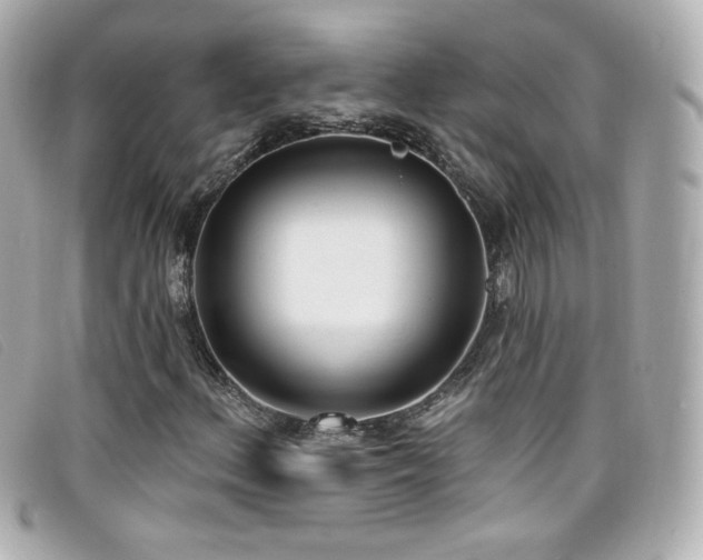 X0000099441156200805091306