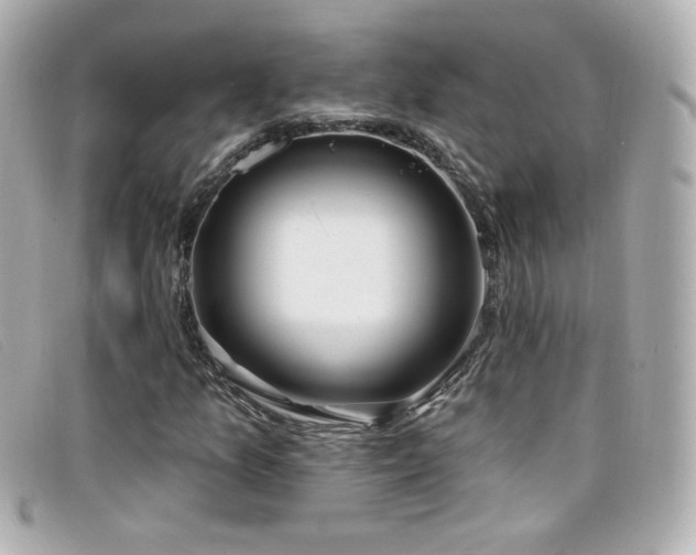X0000099441157200805091306