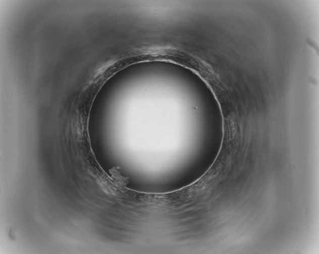 X0000099441158200805091306