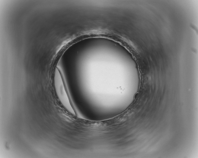 X0000099441160200805091306