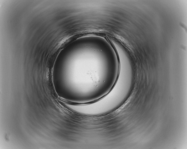 X0000099441161200805091306
